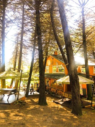 Фотографии гостиницы
Чёрное море