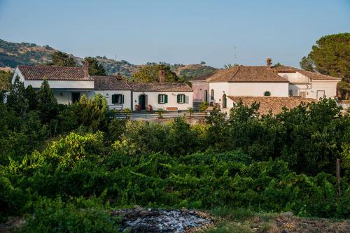 Фотография гостевого дома Casa Vacanze Etna