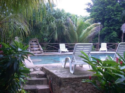 Фотография мини отеля Gardenhotel Macan Ché B&B