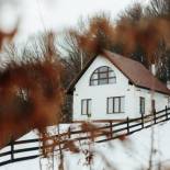 Фотография гостевого дома Casuta Boema