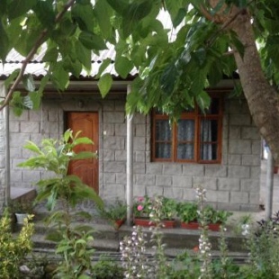 Фотография гостевого дома На Медицинской улице