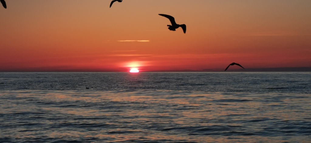 Фотография квартиры Квартира в Зеленоградске