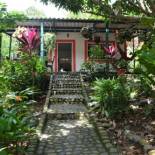 Фотография гостевого дома Casa Oasis de colibri