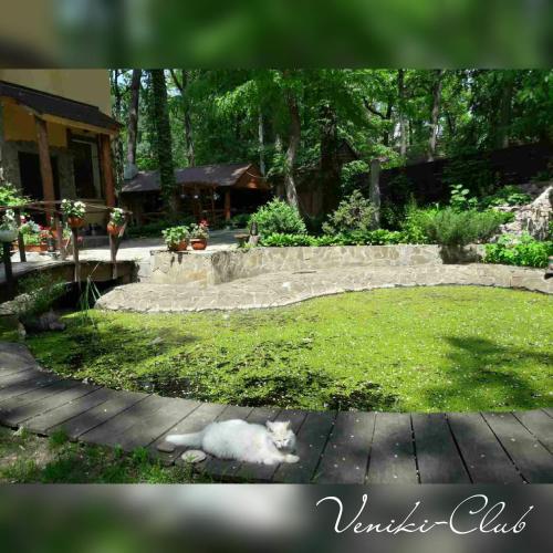 Фотографии гостиницы
Веники-Клуб