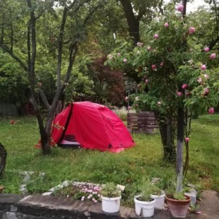 Фотография кемпинга Боржоми_Ликани