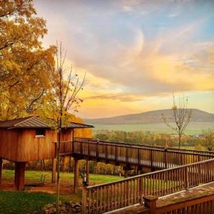 Фотографии гостиницы 
            Hotel Waldquelle - Baumhaushotel Aerzen