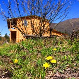 Фотография кемпинга Зеленый Колобок