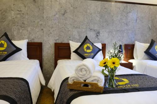 Фотография мини отеля Chez Le Anh homestay