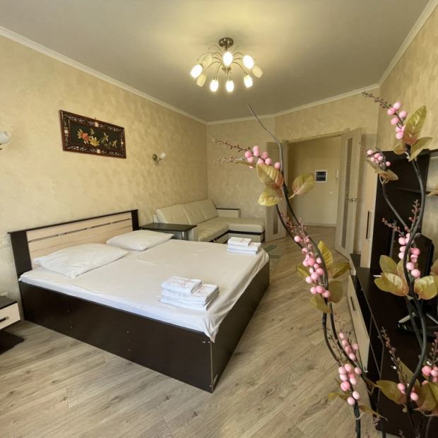 Фотографии квартиры 
            Апартаменты 601 по ул. Красноармейская, 42