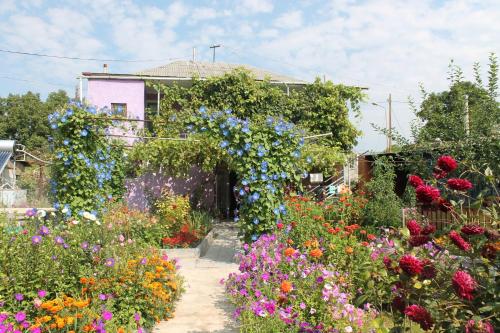 Фотография мини отеля Guest House Tsiskari