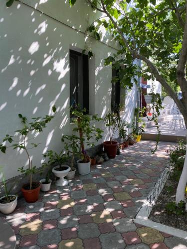 Фотография гостиницы Zatoka_hotel_resort