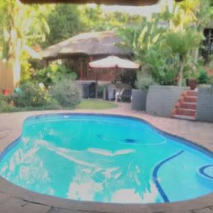 Фотографии мини отеля 
            Thrush Nest