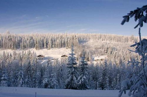 Фотография гостевого дома Karkutahko Villas