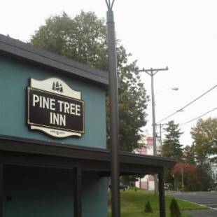 Фотографии мини отеля 
            Pine Tree Inn