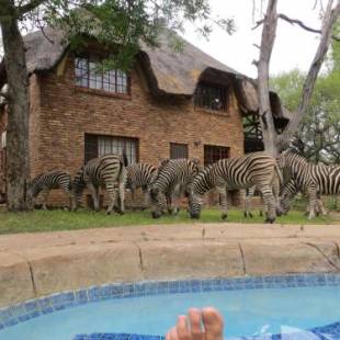 Фотографии гостевого дома 
            Rafiki's Resthouse Kruger Retreat