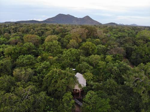 Фотографии базы отдыха
Leopard Safaris Yala by KK Collection