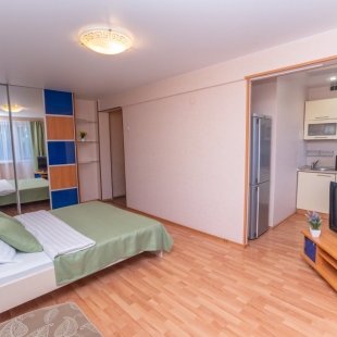 Фотография квартиры Апартаменты Баринн на Ломоносова 177