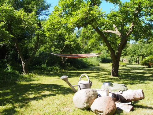 Фотография гостевого дома Haus am Deich