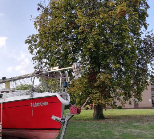 Фотография гостевого дома Domizil & Dümmer