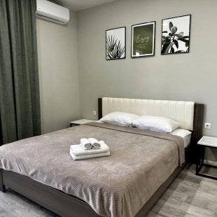 Фотография квартиры Апартаменты на Смолина, 61 (Green-room)