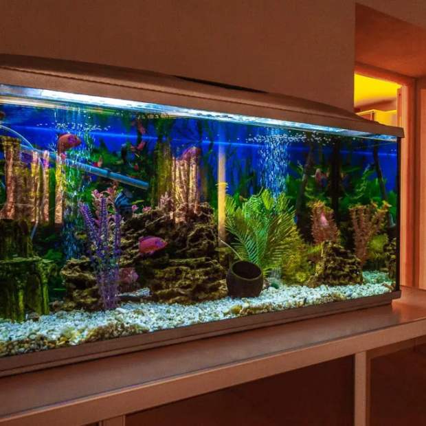 Фотографии квартиры 
            ApartHause на улице Крылова