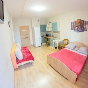 Фотография квартиры Апартаменты Гулливер по Революции 48А