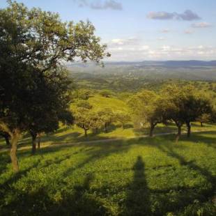 Фотографии гостевого дома
El Añadío