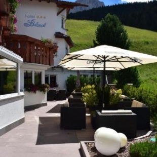 Фотография гостиницы Hotel Belaval