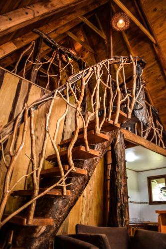 Фотографии гостевого дома
Cabañas Ecoturismo la Pancha