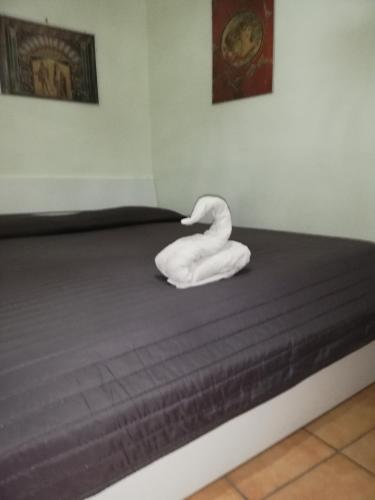 Фотография мини отеля b&b ERCOLANO Scavi