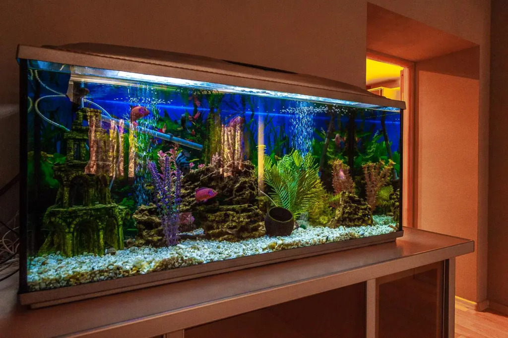 Фотография квартиры ApartHause на улице Крылова