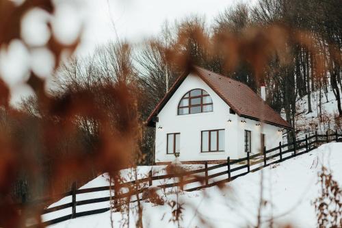 Фотография гостевого дома Casuta Boema