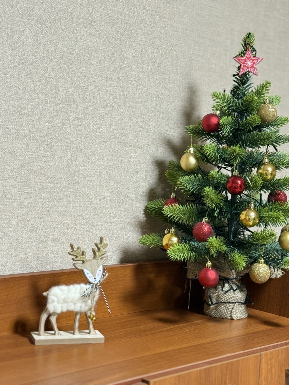 Фотография квартиры Квартира большая