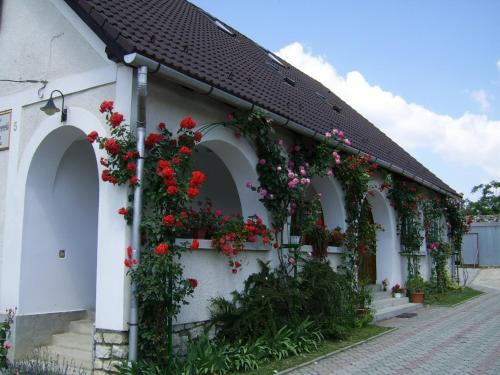 Фотография гостевого дома Bánóporta