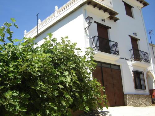 Фотография гостевого дома Casa Mamica Rosario