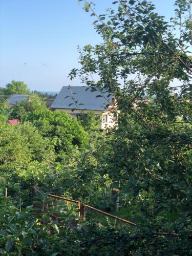 Фотография гостевого дома У Татьяны