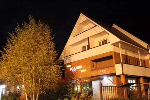 Фотографии гостиницы
Родник