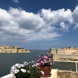 Фотографии гостевого дома 
            Sally Port Senglea