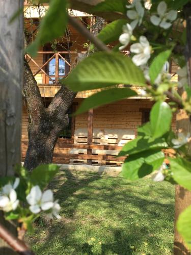 Фотографии гостевого дома
Kazka