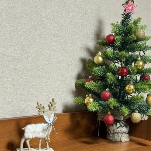 Фотография квартиры Квартира большая