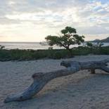 Фотография мини отеля Seeing Sunshine Homestay