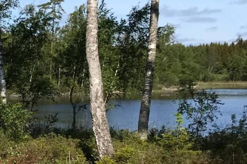 Фотография гостевого дома Holiday home in Småland