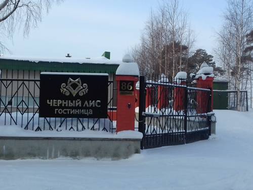Фотография гостиницы Черный Лис