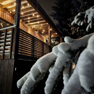 Фотография Коттеджа Коттедж Черничный Склон Forest House