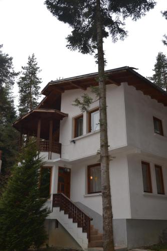 Фотографии гостевого дома 
            Вила Пенчеви, кк. Цигов чарк