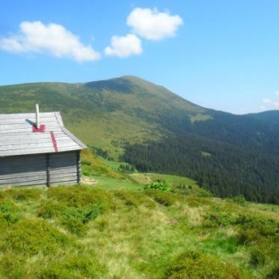 Фотография гостевого дома Азалия