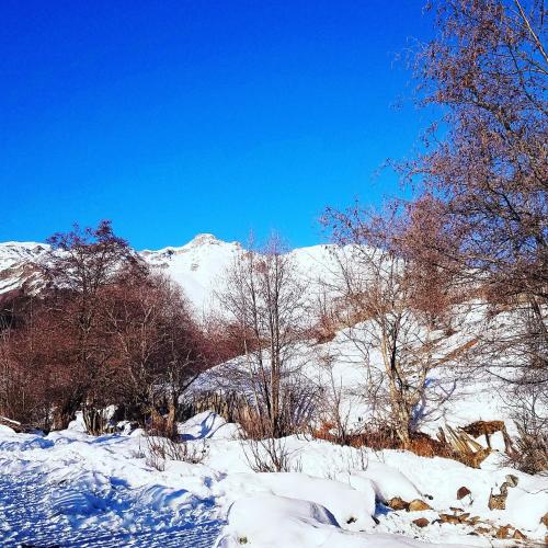 Фотографии мини отеля
Bidzina gujejiani