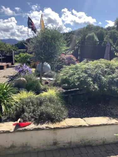 Фотография мини отеля Haus Steffi