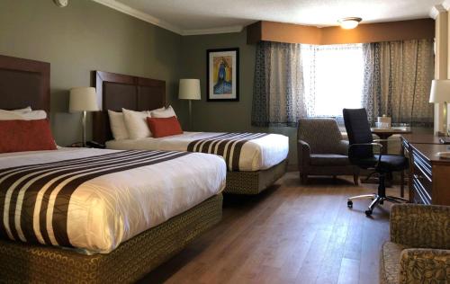 Фотография гостиницы Best Western Plus Ottawa City Centre