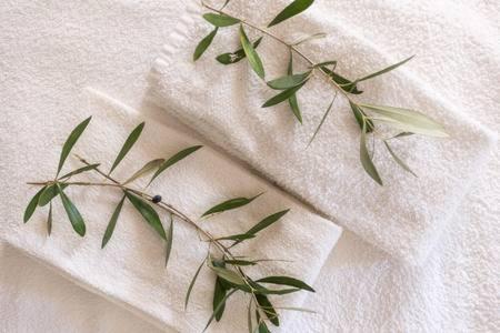 Фотография базы отдыха Monte da Lagoa